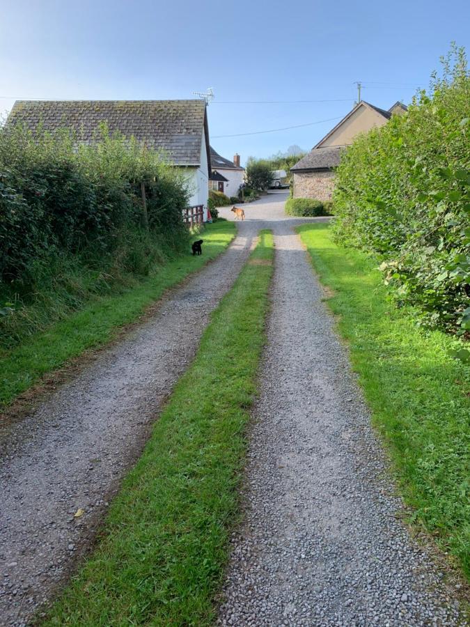 Отель The Reindeer Retreat Buttercup Twin Kidwelly Экстерьер фото